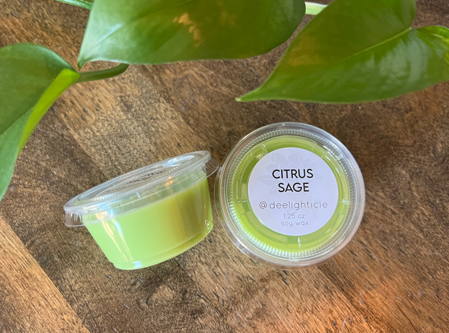 Citrus Sage - Soy Wax Melt - Scented Wax Melt